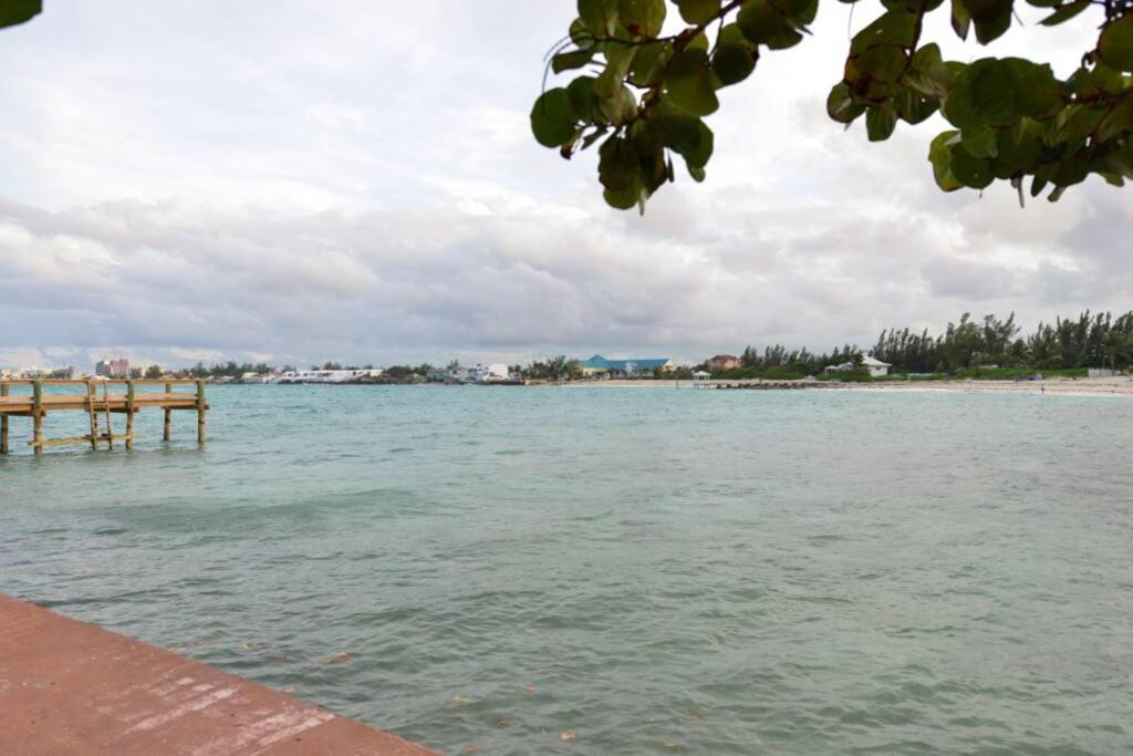 Seashells By The Seashore - Absolute Waterfront *